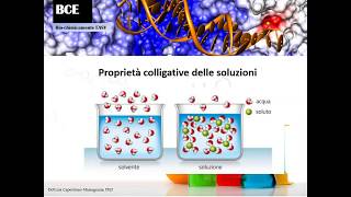 Proprietà colligative della soluzioni teoria [upl. by Harlan]