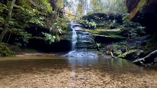 Blue Mountains Waterfalls Lyrebird Dell amp Pool of Siloam Leura NSW [upl. by Bonnee]