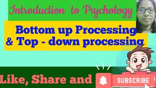 Bottom up ⬆️and Top down⬇️ processing📌Perception📌 Introduction to Psychology📌 [upl. by Tonina]