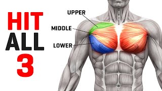 Fully Develop your Chest with this Routine Sets amp Reps Included [upl. by Price]