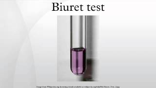 Biuret test [upl. by Neeneg]