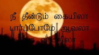 KALYANA THEN NILA With lyricwmv [upl. by Laehcimaj]