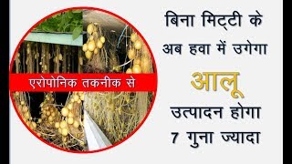 बिना मिटटी के हवा में उगेगा आलू  पैदावर 7 गुना ज्यादा  soilless potato farming  aeroponic vidhi [upl. by Spear]