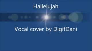 Leonard Cohen  Hallelujah  Karaoke Vocal Cover with lyrics [upl. by Munson599]