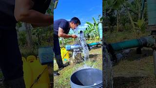 Spray time  agriculture farming horticulture [upl. by Einiar]