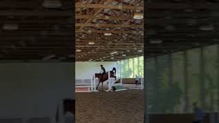 Hop outta bed horseriding horsejumping fypシ゚viral [upl. by Adeline]