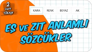 Eş ve Zıt Anlamlı Sözcükler 📙 2Sınıf Türkçe 2024 [upl. by Ametaf]