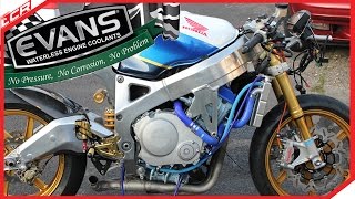 Honda Fireblade  Waterless Coolant  Evans   Garage Build EP23 [upl. by Stetson]