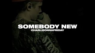 charlieonnafriday  Somebody New Lyric Video [upl. by Clapp]