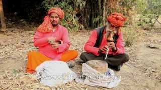 Snake charmers do their thing which is what They charm snakes per se [upl. by Newmark]