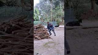 FAKE😱 KINGCOBRA prank on worker by funny trending Yt [upl. by Ettener]