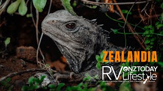 Zealandia  A wildlife sanctuary like no other in New Zealands capital city [upl. by Griffy]