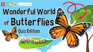 Wonderful World of Butterflies – Quiz Edition [upl. by Arriek]