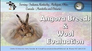 Angora Breeds and Wool Evaluation  Rachel Penterman  June 4 2020 [upl. by Raquela649]