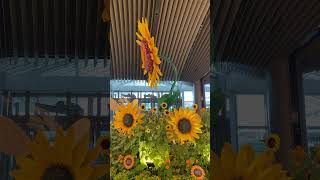 Changi airport travel changiairport viralshorts [upl. by Sheffie]