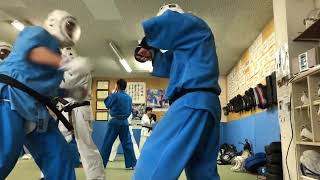 HIT THE MAT Daido Juku Kudo Kishiwada Dojo  Osaka [upl. by Llevram]