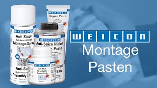 Montagepasten im Vergleich  AntiSeize  AntiSeize High Tech  Kupferpaste  AntiSeize Nickel [upl. by Trstram]