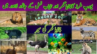 Visit To Lahore Beautiful Animals and Birds are there and preserved Animals [upl. by Asilram]