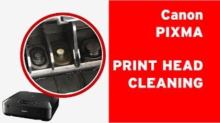 How to clean Canon PIXMA print head flushing clogged nozzles on a print head [upl. by Alin]