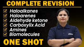 HaloalkanesArenes Aldehyde Ketone CarboxylAcid Amines Biomolecules in One Shot  JEE MAIN 2024 [upl. by Bollen]