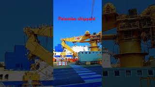 Palumbo shipyard Europe [upl. by Keegan]