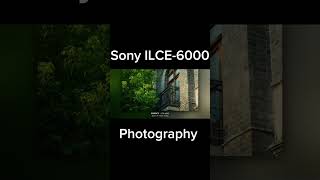 Sony ILCE6000 Photography Test  Stunning Shots with Alpha 6000 [upl. by Elsey839]