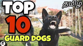 Top 10 சிறந்த காவல் நாய்கள்  best guard dogs  canine empire [upl. by Ferriter]