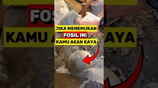 Jika Menemukan Fosil ini Kamu Akan Kaya‼️😱 [upl. by Leay482]