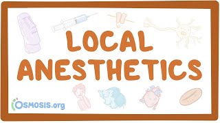 Local anesthetics pharmacology [upl. by Paluas]