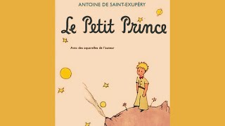 Le Petit Prince  Antoine de Saint Exupéry  2ème partie [upl. by Stagg]