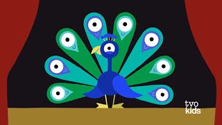 Animanimals Peacock [upl. by Adrien]