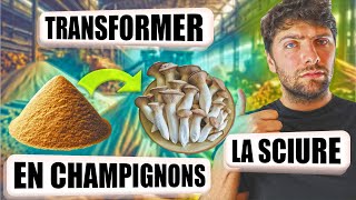 🍄 Comment CULTIVER des CHAMPIGNONS sur de la SCIURE [upl. by Ettesil]