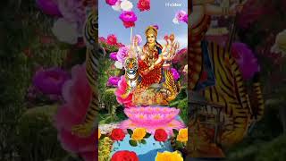 mvideo mvideoapp🌸🏵️🇮🇳🌻🌹🌺 [upl. by Griffy]