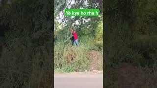 Imali todne ka Tarikareels funny vairalvideo comedy trendingvideo mstifun song [upl. by Zachariah449]