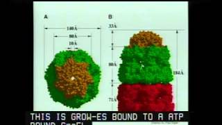 Molecular Chaperones in Protein Folding and Neurodegeneration [upl. by Anitniuq]