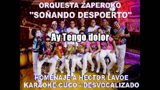 ORQUESTA ZAPEROKO  SOÑANDO DESPIERTO  KARAOKE [upl. by Coveney254]