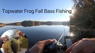 Topwater Frog Fall Bass Fishing [upl. by Jacqueline]