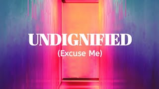 Undignified Excuse Me  Dunsin Oyekan Lyrics video [upl. by Hsotnas678]