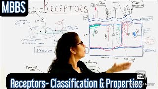 CNS Receptors Classification Properties of Receptors DrBhakti Kharate mbbs cns neet [upl. by Brink]