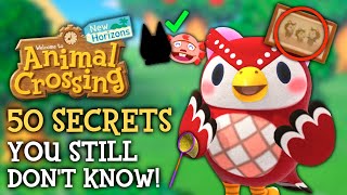 50 SECRETS You STILL Dont Know  Animal Crossing New Horizons [upl. by Airretnahs]