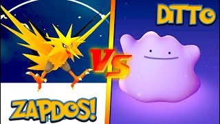 NEW ZAPDOS vs THE DITTO POKÉMON GO LEGENDARY RAID CHALLENGE [upl. by Eniaral]