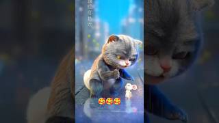 LOVELY SHORT VIDEO CAT AND RAT LOVE ❤shorts [upl. by Reedy]