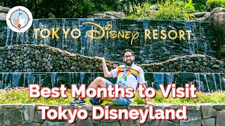 The BEST Times to Visit Tokyo Disneyland amp DisneySea  Month by Month Breakdown [upl. by Rilda328]