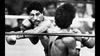 Salvador Sanchez vs Wilfredo Gomez Highlights [upl. by Farleigh]