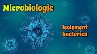 Microbiologie I Isolement bactérien sur Milieu sélectif et différentiel  5éme vidéo [upl. by Hagile]