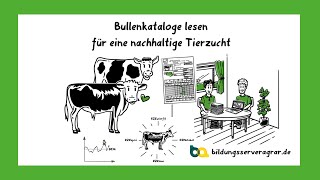 Bullenkatalog lesen leicht gemacht [upl. by Anha]