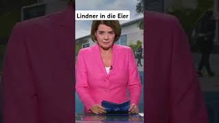 Lindner FDP AUA shorts funny [upl. by Emili91]