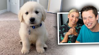 I Showed My Fiancé Coopers Puppy Videos [upl. by Amieva]