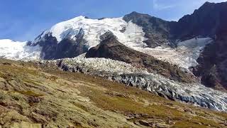 Tramway du Mont Blanc  Glacier de Bionnassay et ses bouquetins  Refuge Le Nid dAigle [upl. by Otsirave]