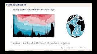 November Webinar with Romain Caneill From alpha to beta ocean [upl. by Wittie366]